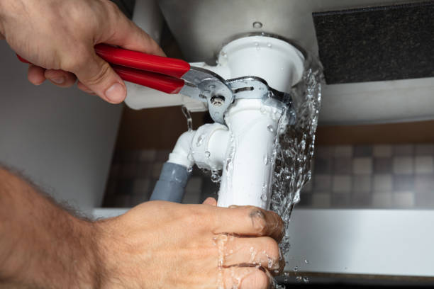 Best Flooded house restoration  in Lam, AR