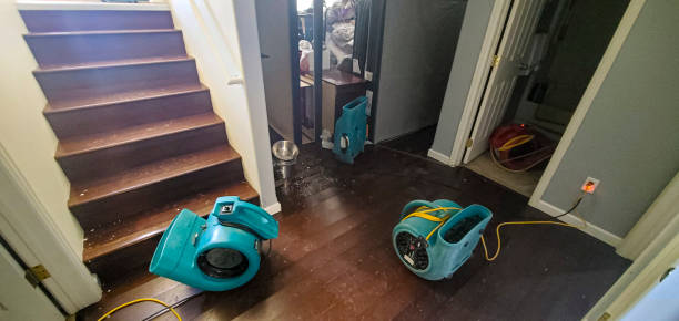 Best Local water damage restoration  in Lam, AR