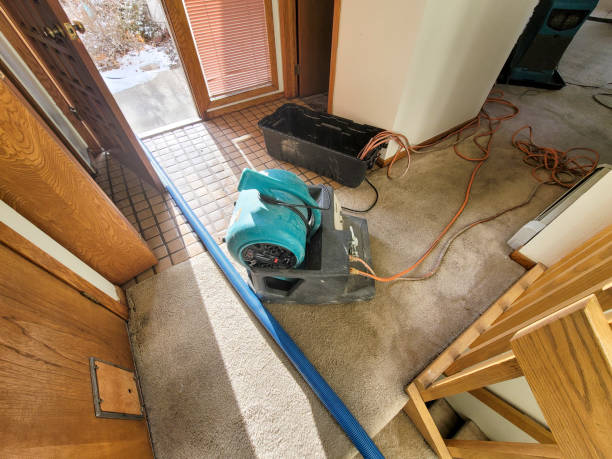 Best Flooded house restoration  in Lam, AR