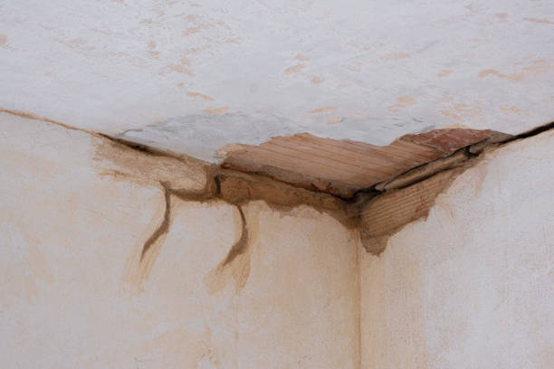 Best Carpet water damage restoration  in Lam, AR