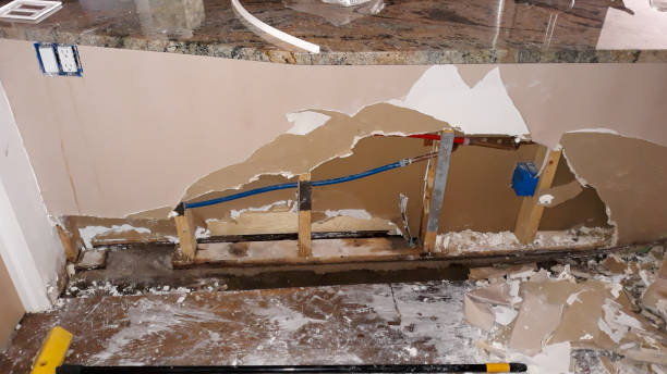 Best Ceiling water damage repair  in Lam, AR