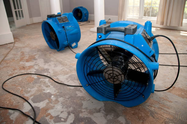 Best Flood damage cleanup  in Lam, AR